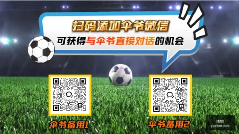 开云网站 091240 3