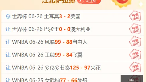 开云网站 093929 94